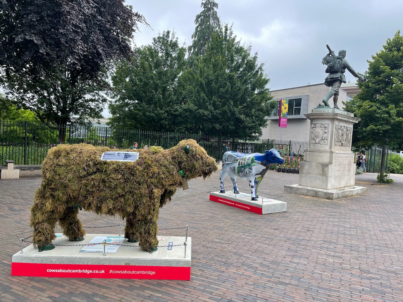 Moss cow by the war memorial